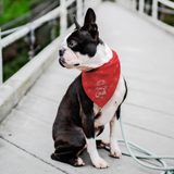 KC Tribe Original Pet Bandana